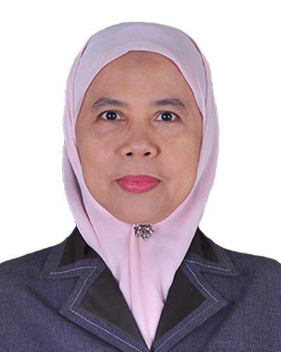 Dr Ir Elysa Wulandari MT