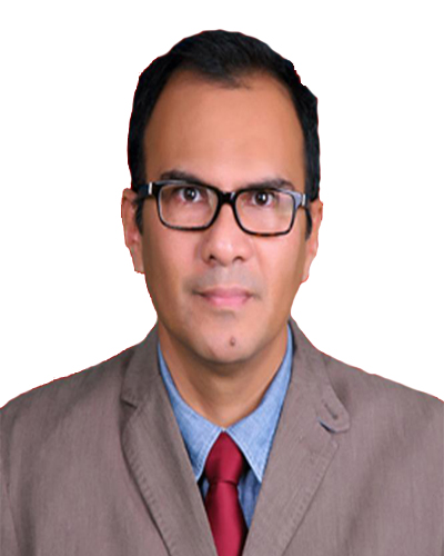 Dr Ir Mirza Irwansyah MBA MLA