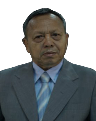 Prof Dr Ir Ahmad Syuhada MSc