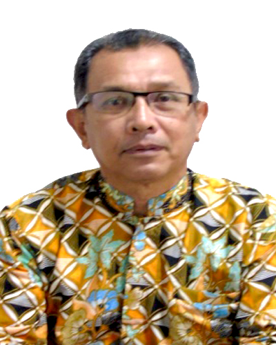 Prof Dr Ir Medyan Riza MEng