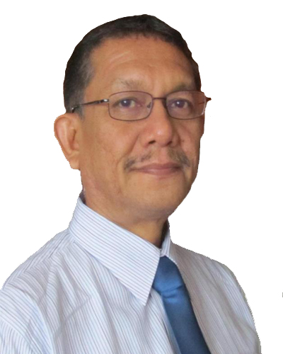 Prof Dr Ir Yunardi MASc
