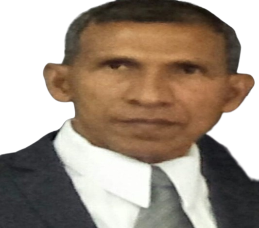 Prof. Dr. Ir. Razali, M.Si., M.T.