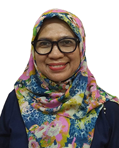 Dr. Ir. Cut Meurah Rosnelly, M.T