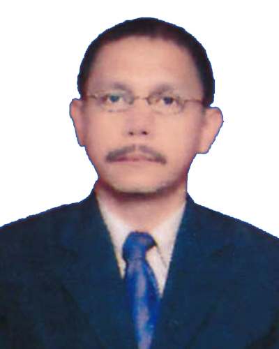 Dr. Ir. Muhammad Fauzi, ST., MT