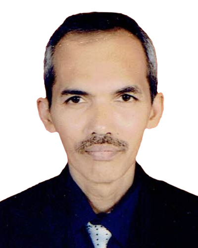 Ir. Udink Aulia, M.Eng.