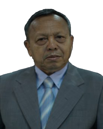 Prof. Dr. Ir. Ahmad Syuhada, M.Sc