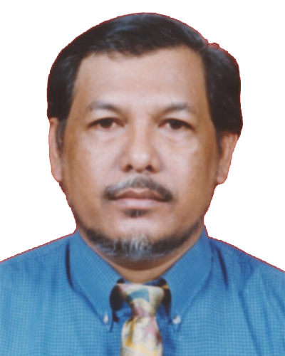 Prof. Dr. Ir. Munirwansyah, M.Sc