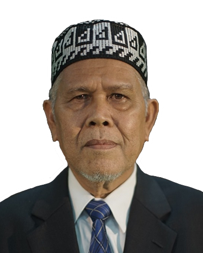 Prof. Dr. Ir. Nurdin Ali, Dipl.Ing