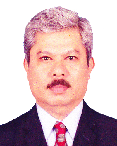 Prof. Dr. Ir. Sofyan, M.Sc.Eng., IPU